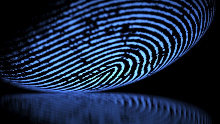 A fingerprint showing on a blue screen