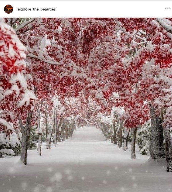 Instagram screen capture from "explore_the_beauties"