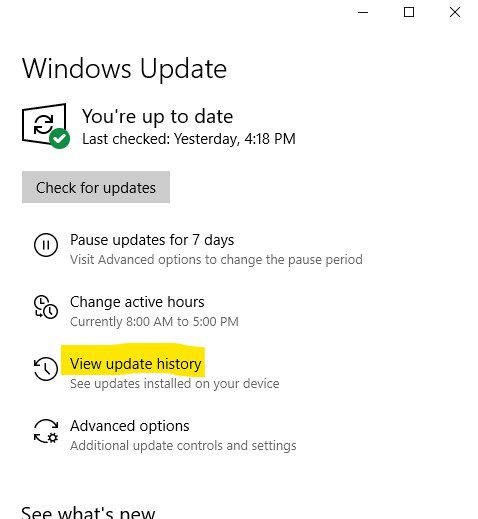 Windows 10 Update window showing "View update history"