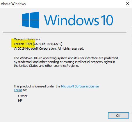 A Windows 10 version window