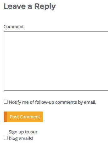 Screenshot of our blog's comment area.