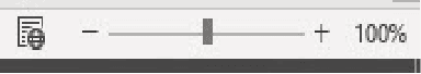 Screenshot of a zoom controller at 100%