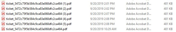duplicate file names