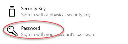 Screenshot of the sign-in options on Windows 10 with Password circled in red.