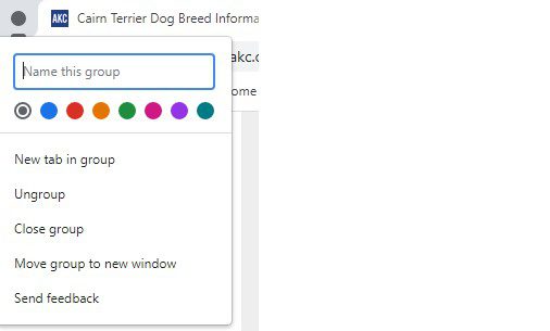 Screen capture of adding a group of tabs