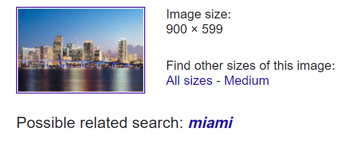 Google Image Search results showing image size and other information.