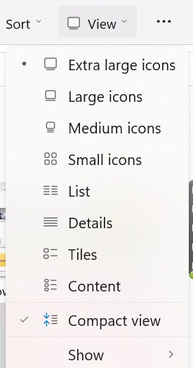 Screenshot of the View Menu in File Explorer