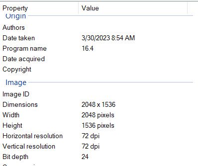 Metadata showing date taken, size