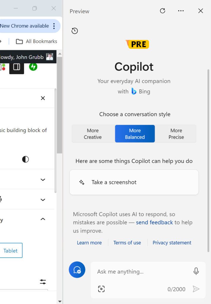 What is Copilot?  The Copilot screen.
